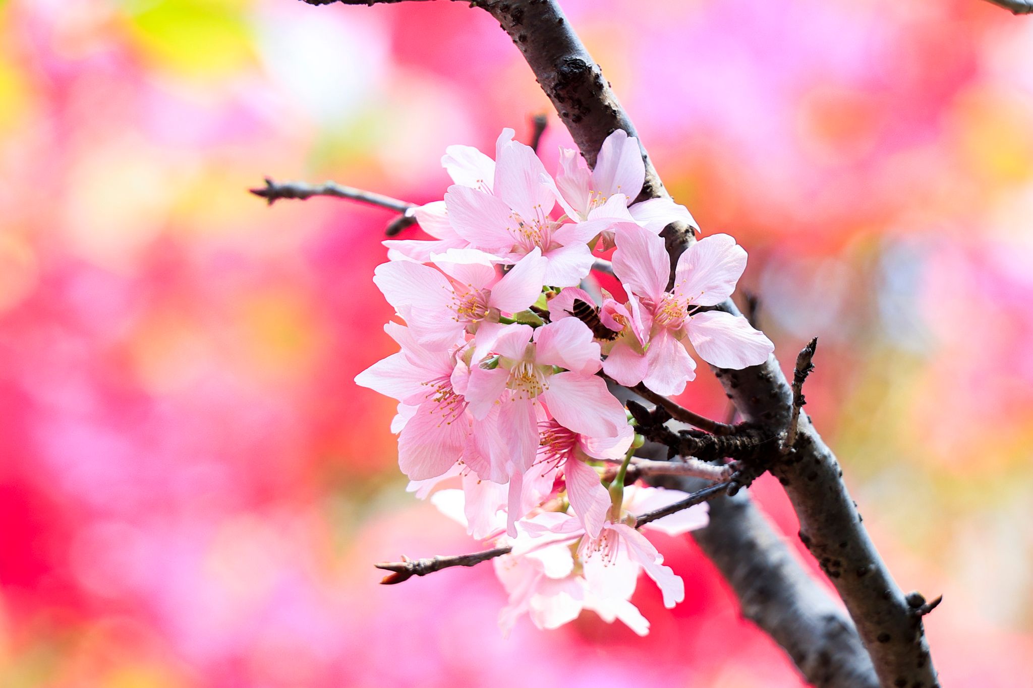 E41BD98EF63D0192D652E613DAE_B58ABE41_3C971