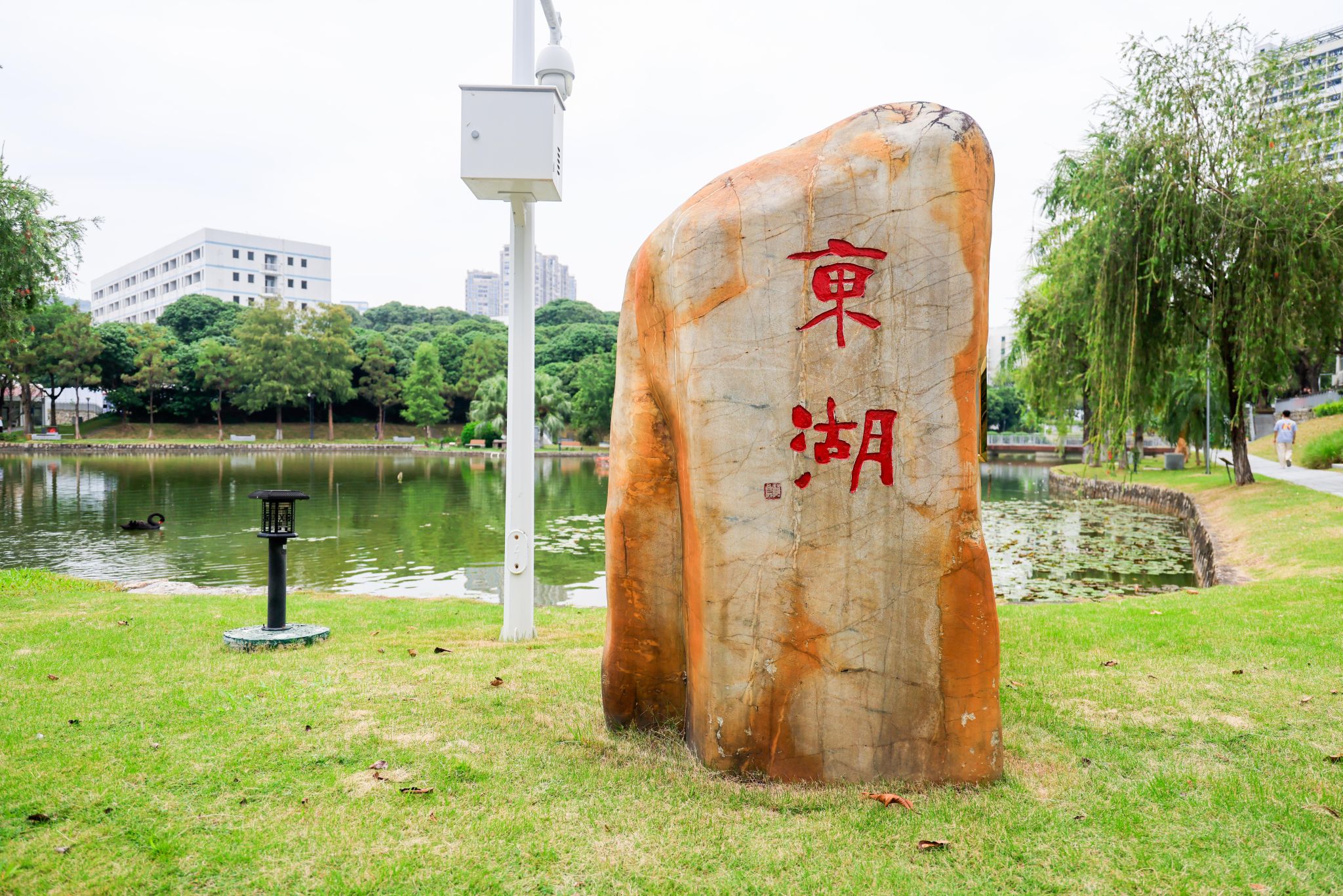 77A461EE8439689212528E2A821_855FC954_90A87