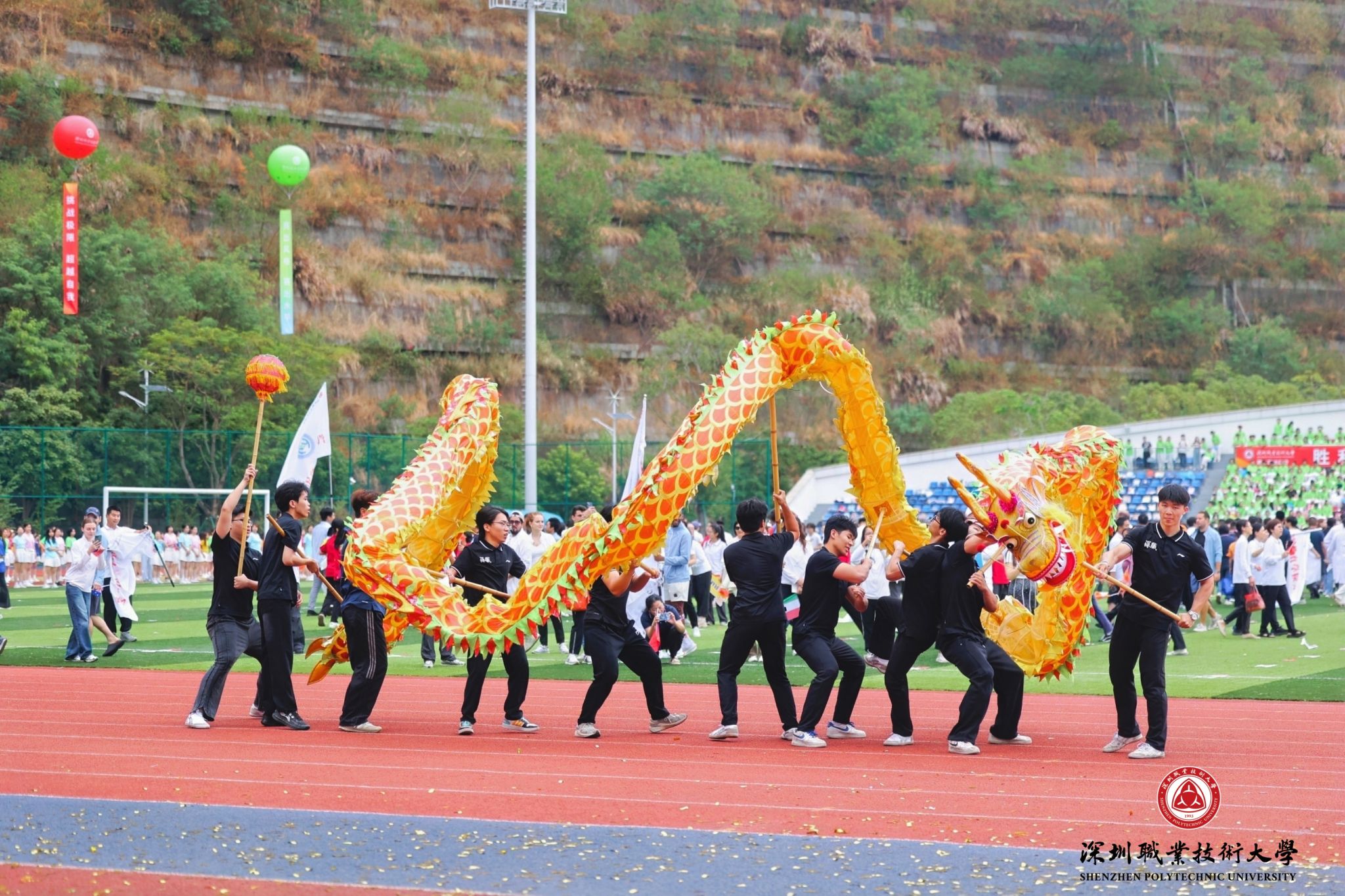 40B2AD91BDF428A15308690D38C_292FD8C9_7841D