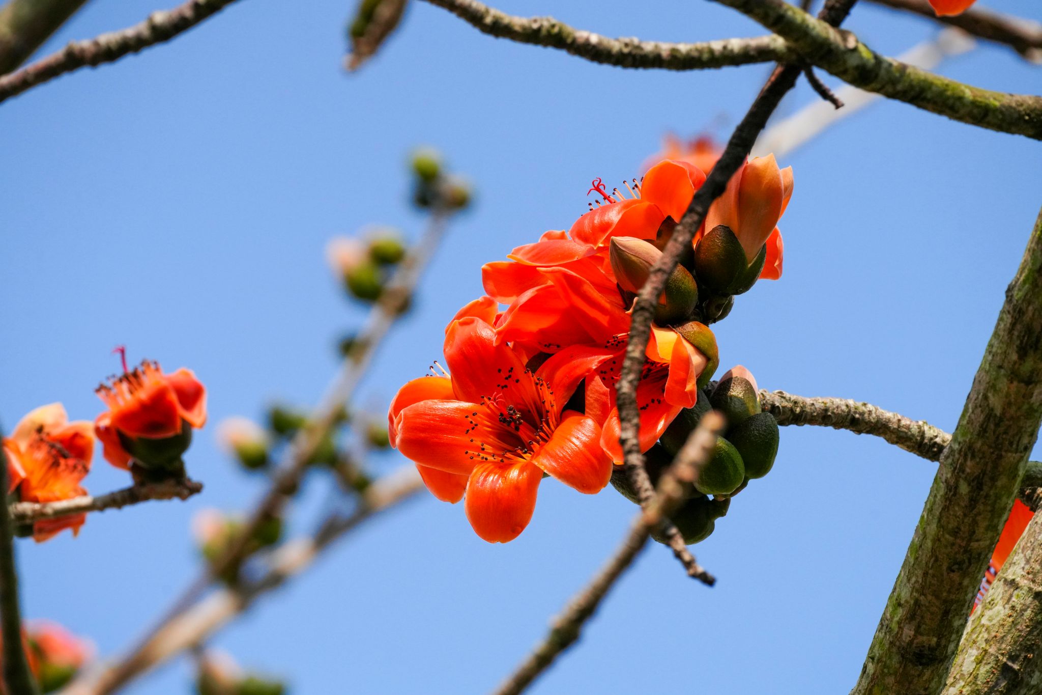 D5F0DAEEE8969DC03CE982E18CD_13A112BB_3D0CF