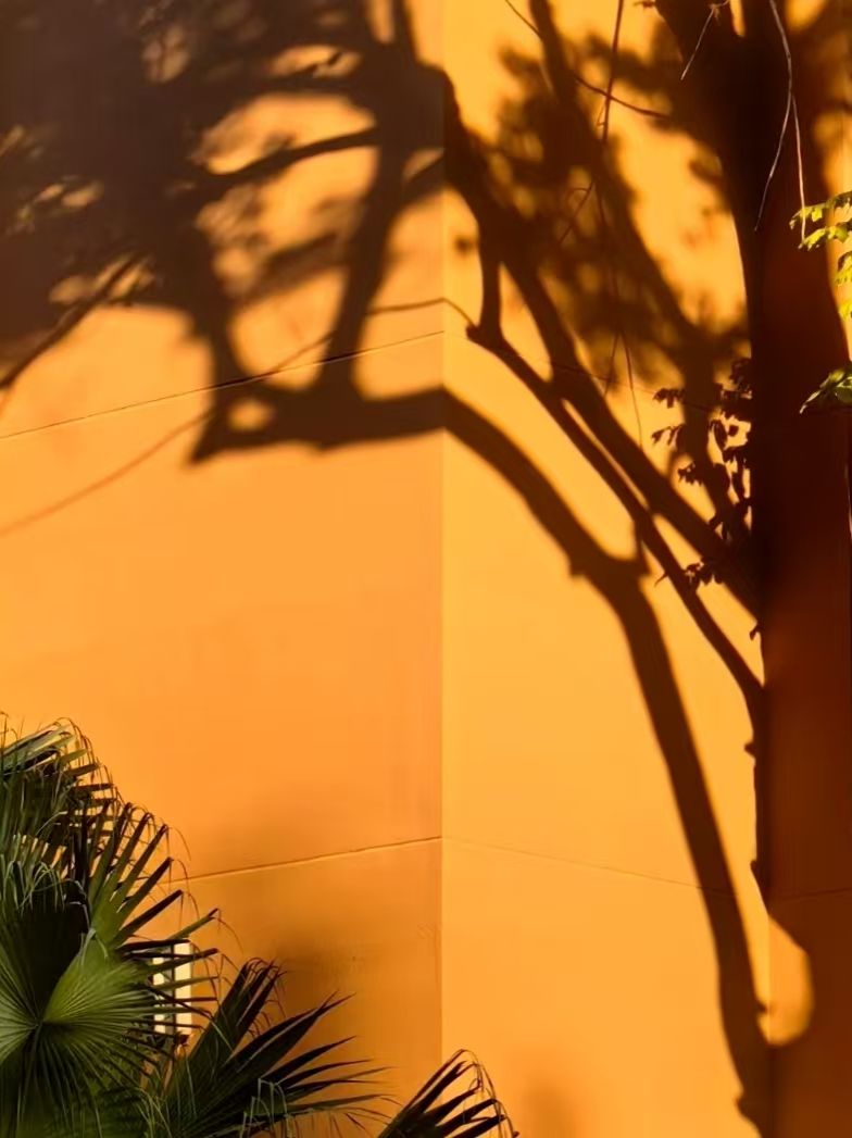 A1CB8112977CF57A6497A78B9BC_D732E3C4_1316A