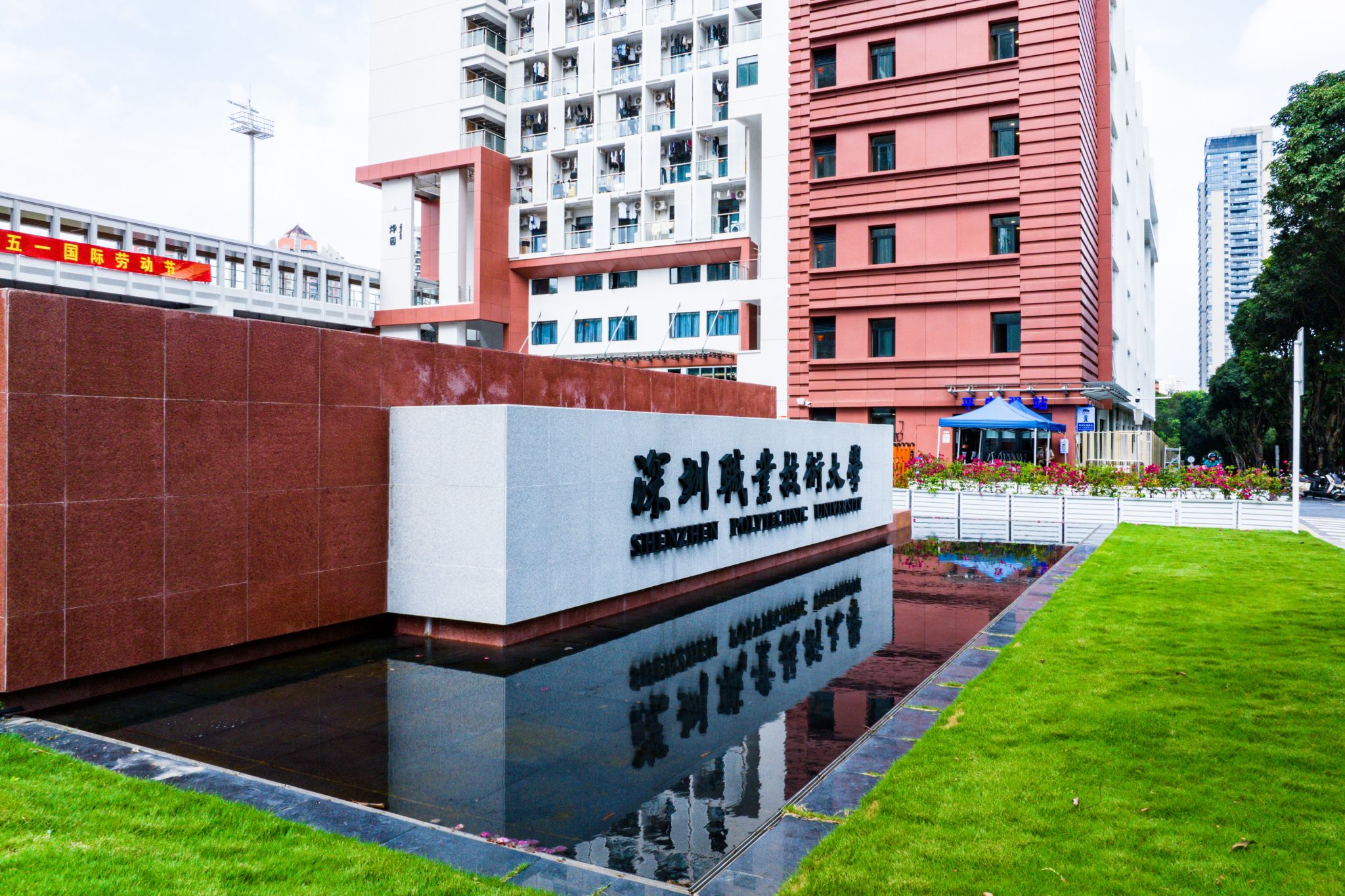 B38C8CA199B9581D34E1A99A965_42E75025_858B5