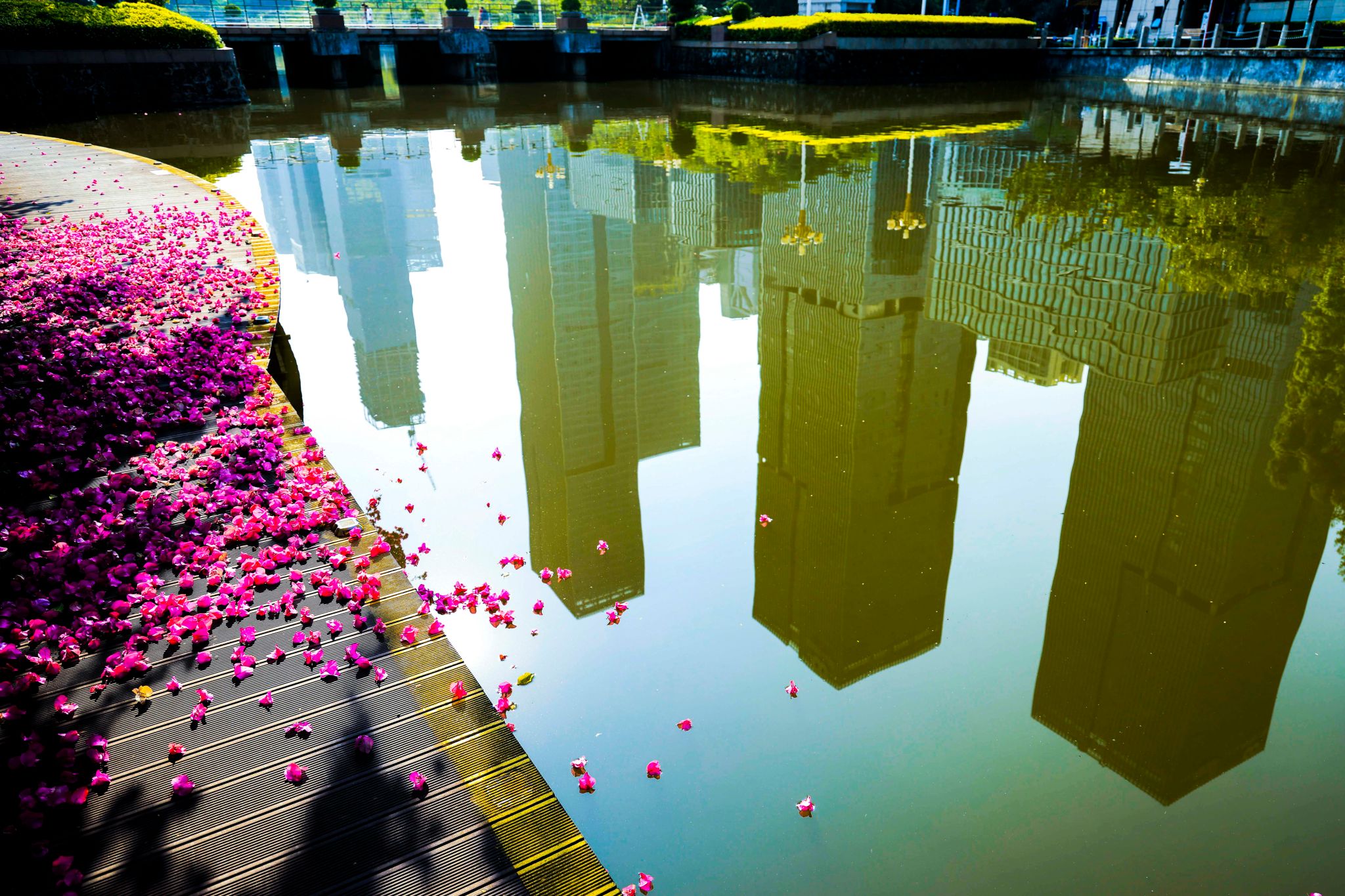 3D310C5EC782B3A07C805C16DEF_24224A93_820DD