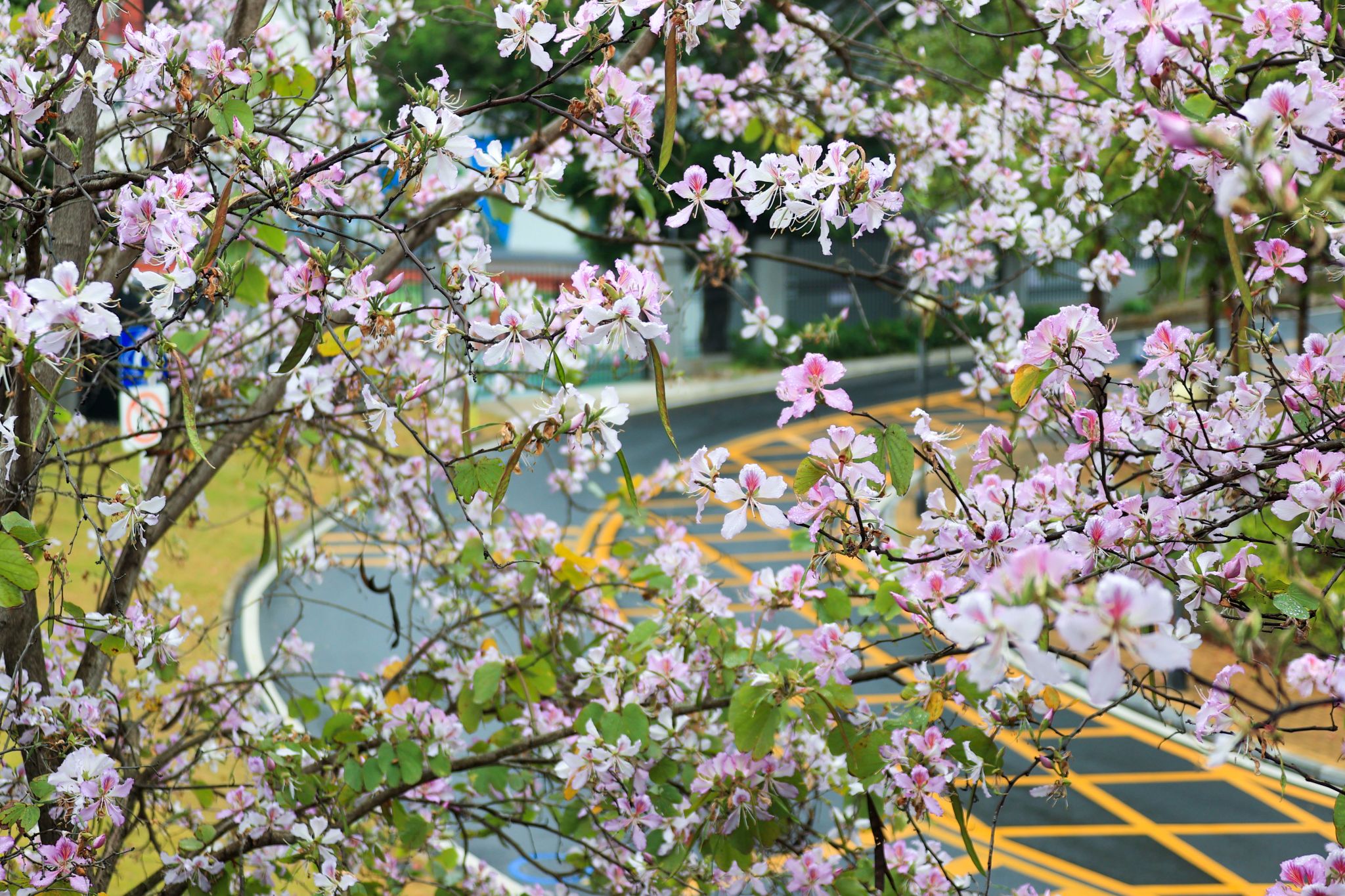 998547BE1B359BF1A03A62909EB_11F12C0A_9A29B