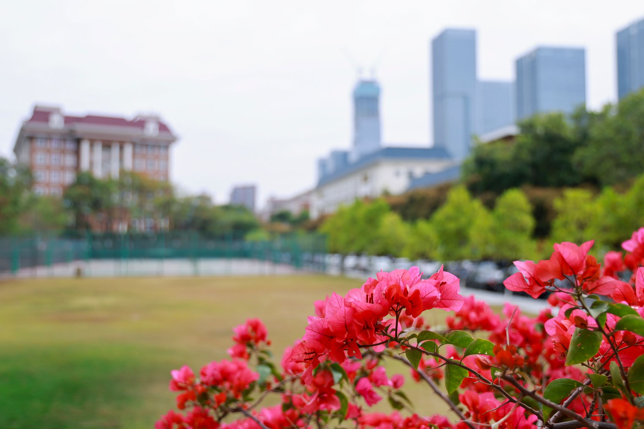 3A6E8528144E488EBC2FD003177_5E1757B6_3328C