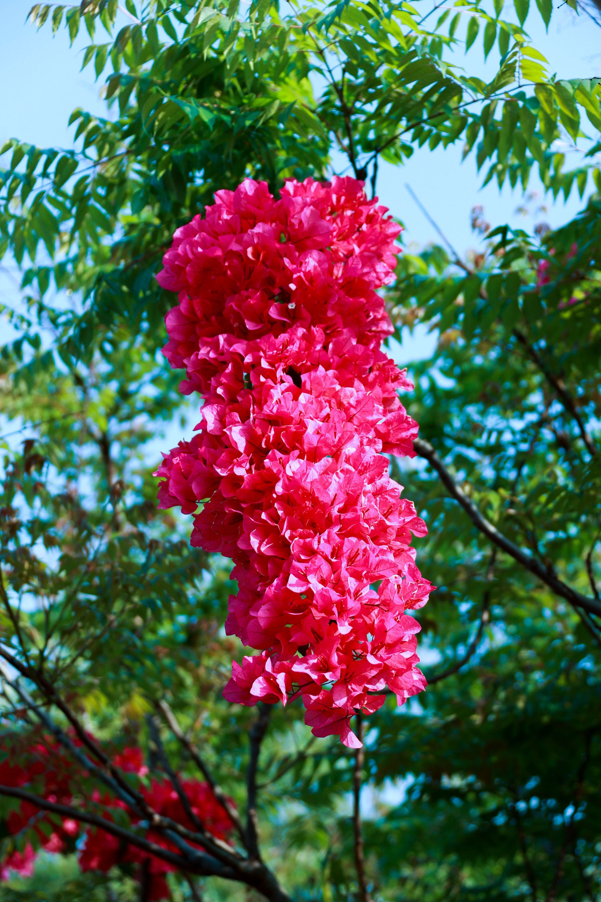 A63363A84EAB18F076BC1A9D9B6_D5837E01_C8740