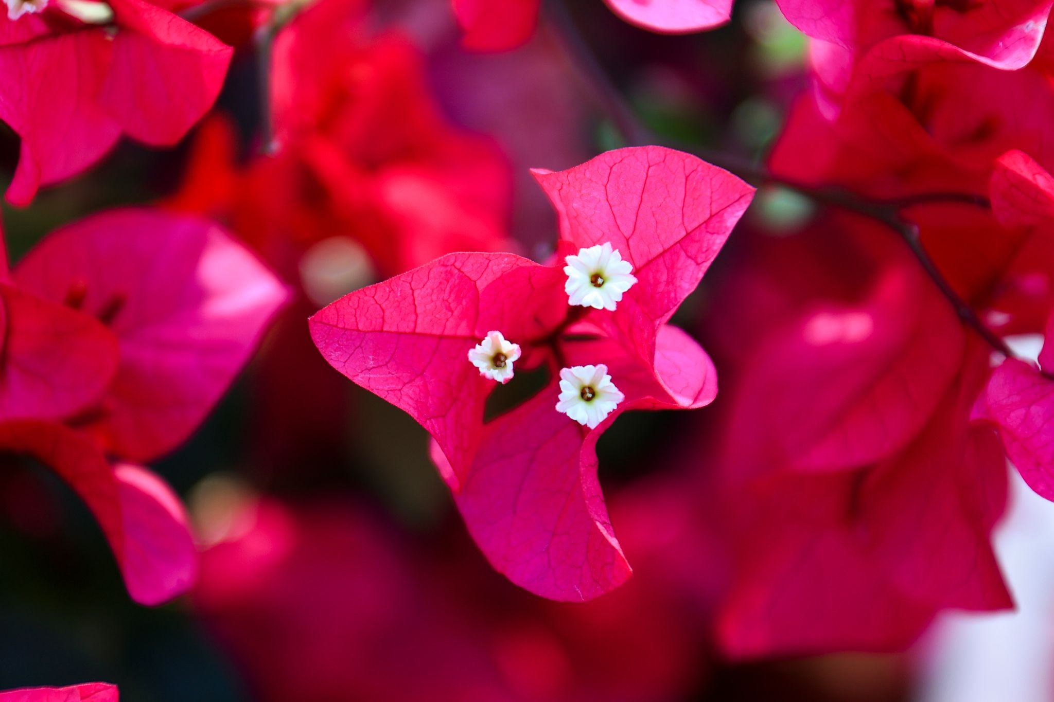 51BEE7025A6F268EFEC98FB1E40_D79D5B5D_2A1A7