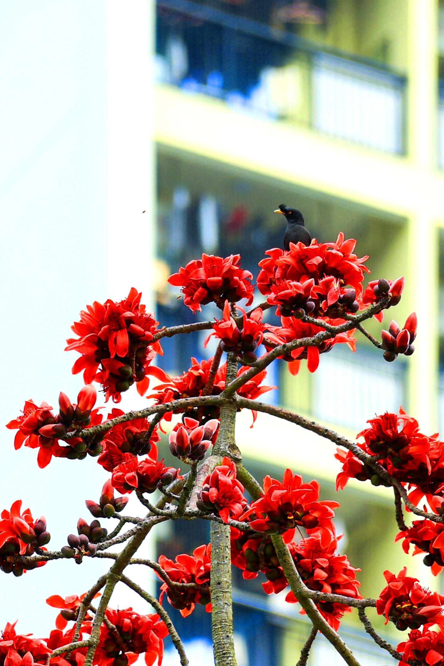 9F585630EE37E8E464C16FFDA12_E471DCD4_65C91