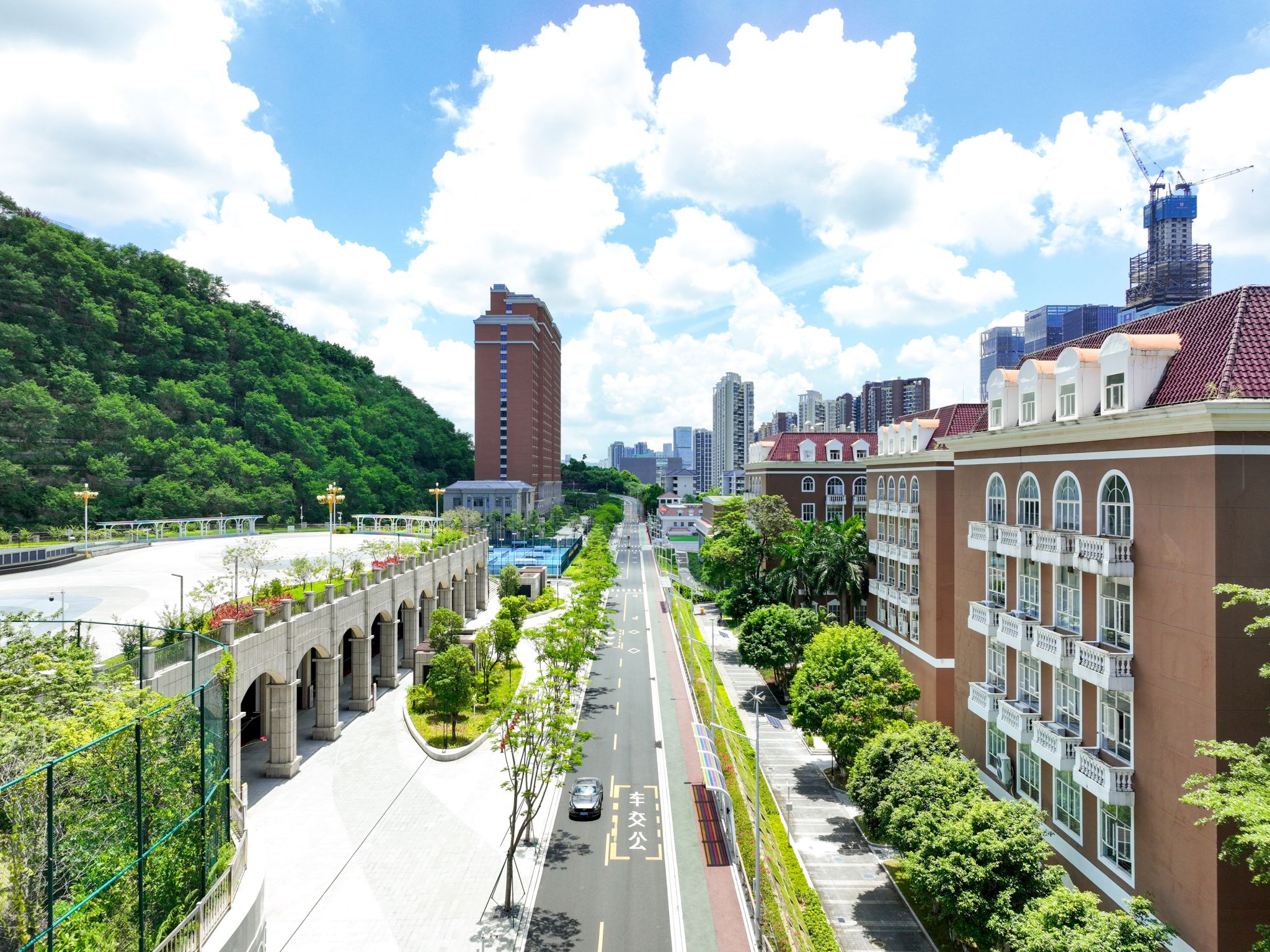 �齫����2(�й���)�ٷ���վ - IOS/��׿ͨ�ð�/�ֻ�APP����