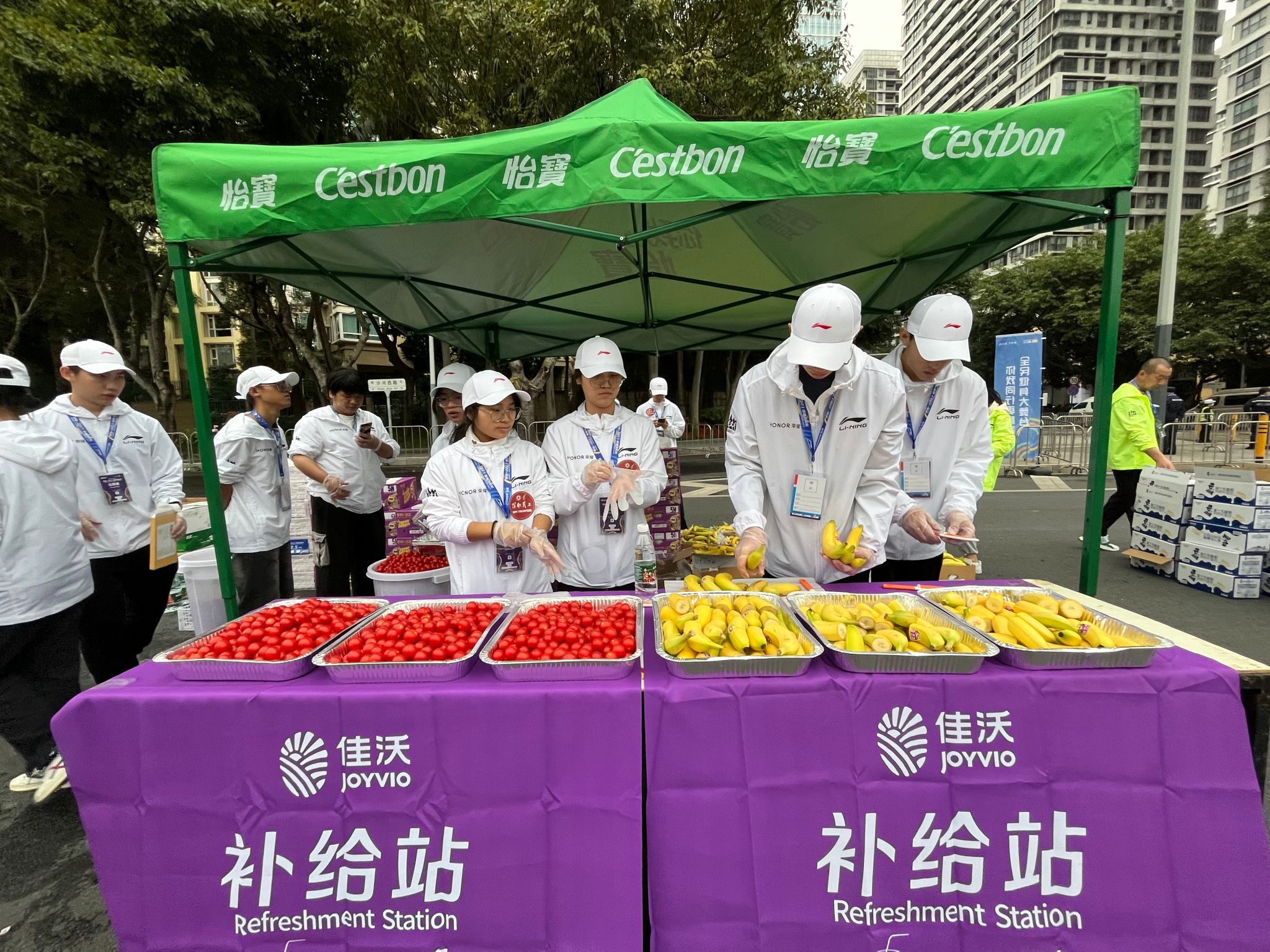 4CBD42E8976C3B96204420B7E18_CFD24185_99965