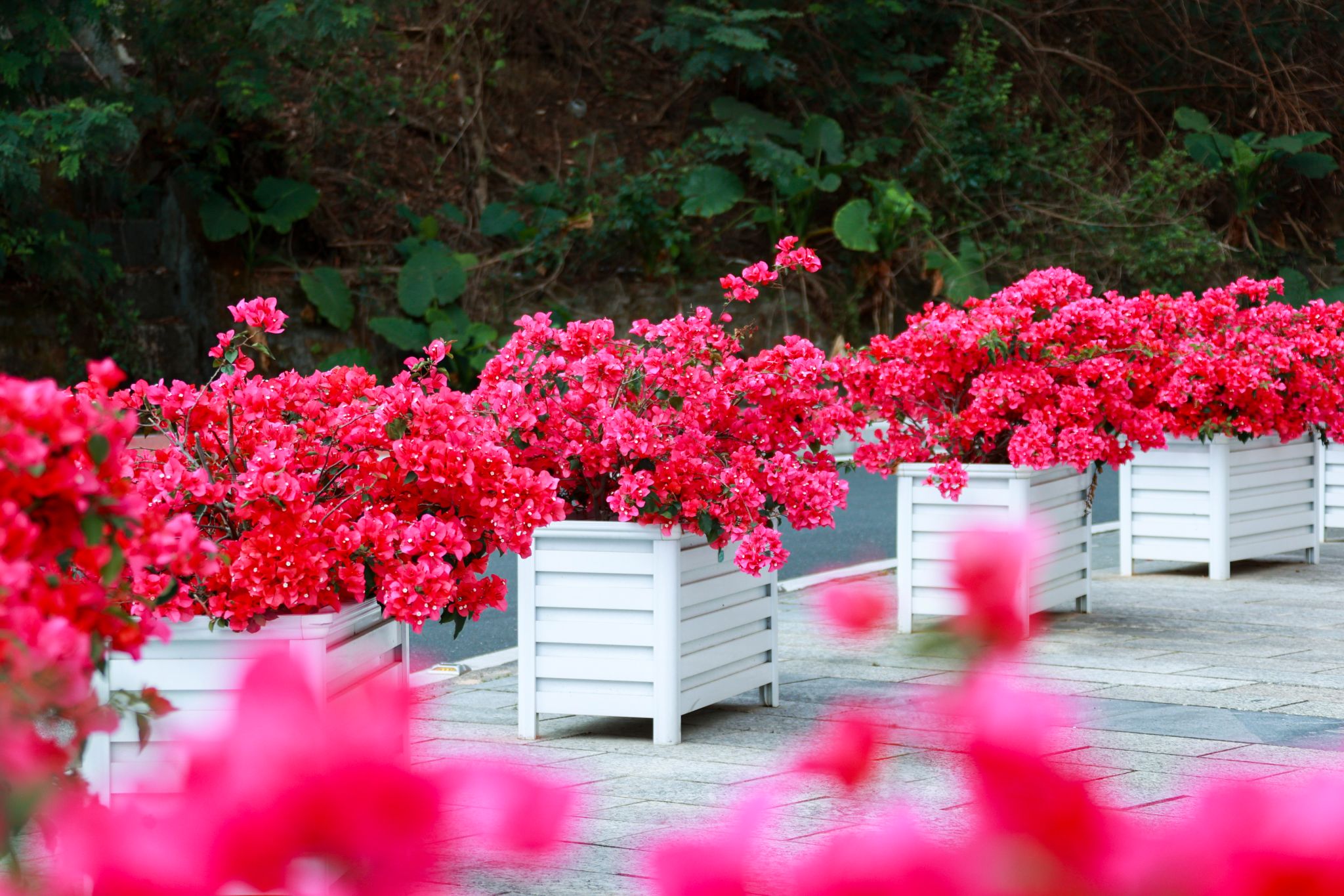 B44818BCE59C85A96A45081DACF_3FEA2002_68D7D