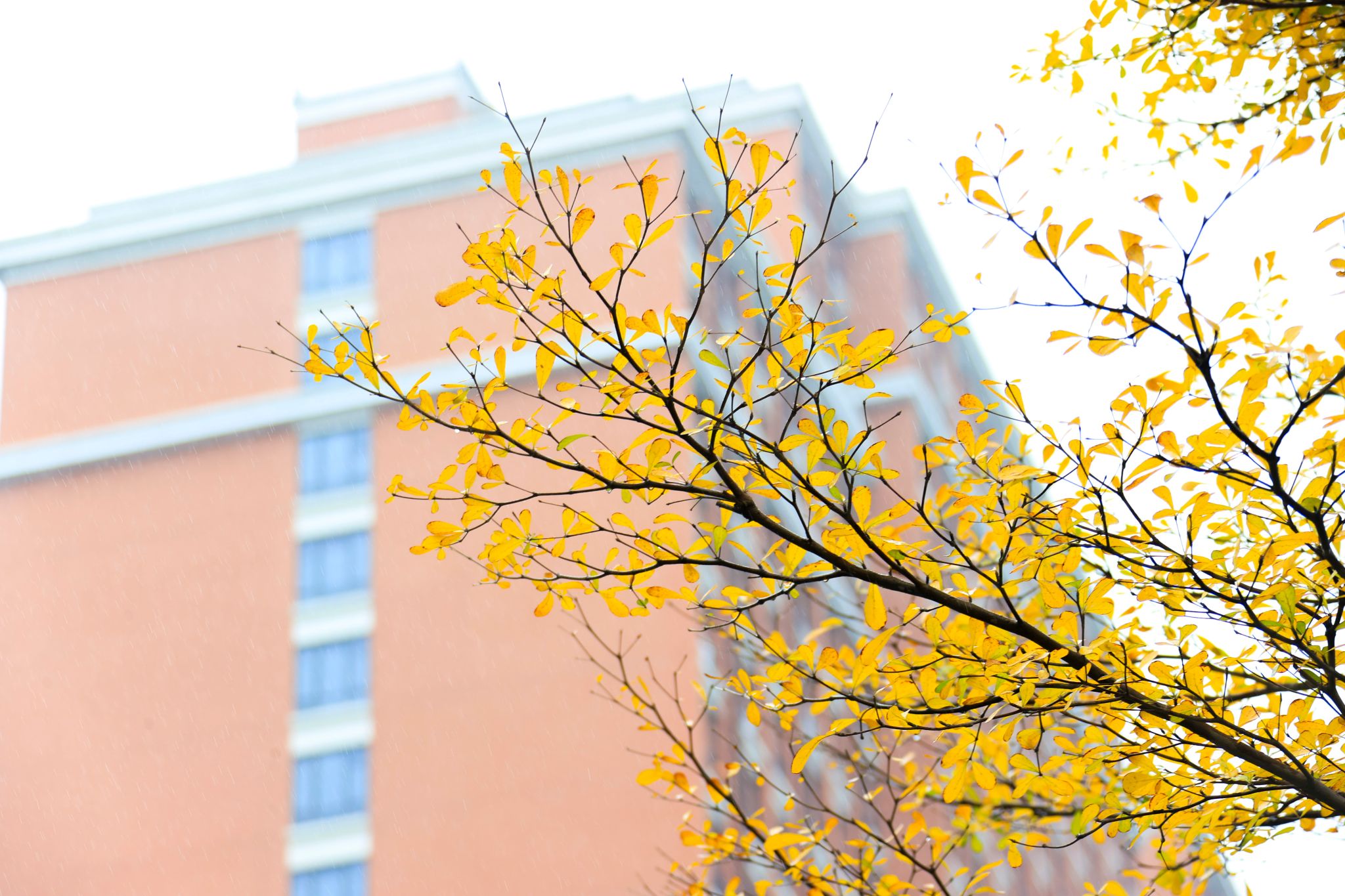 47389E8252C2357BBE5FD828603_1B3962B8_5FEEA