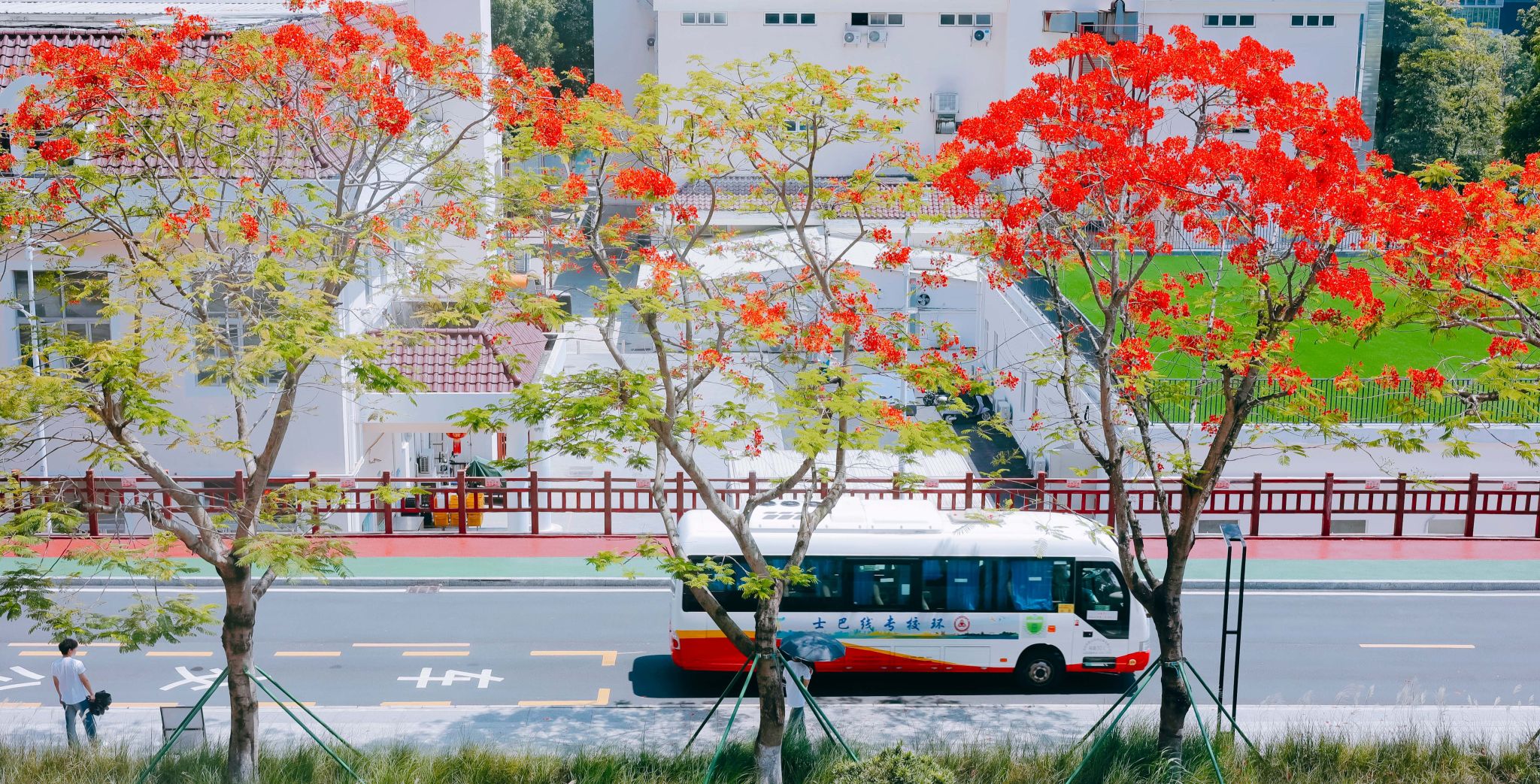 7F0228AAD502B111B0727D53FE5_ED5A320E_A69E4