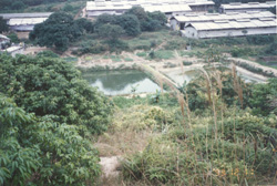 �齫����2(�й���)�ٷ���վ - IOS/��׿ͨ�ð�/�ֻ�APP����