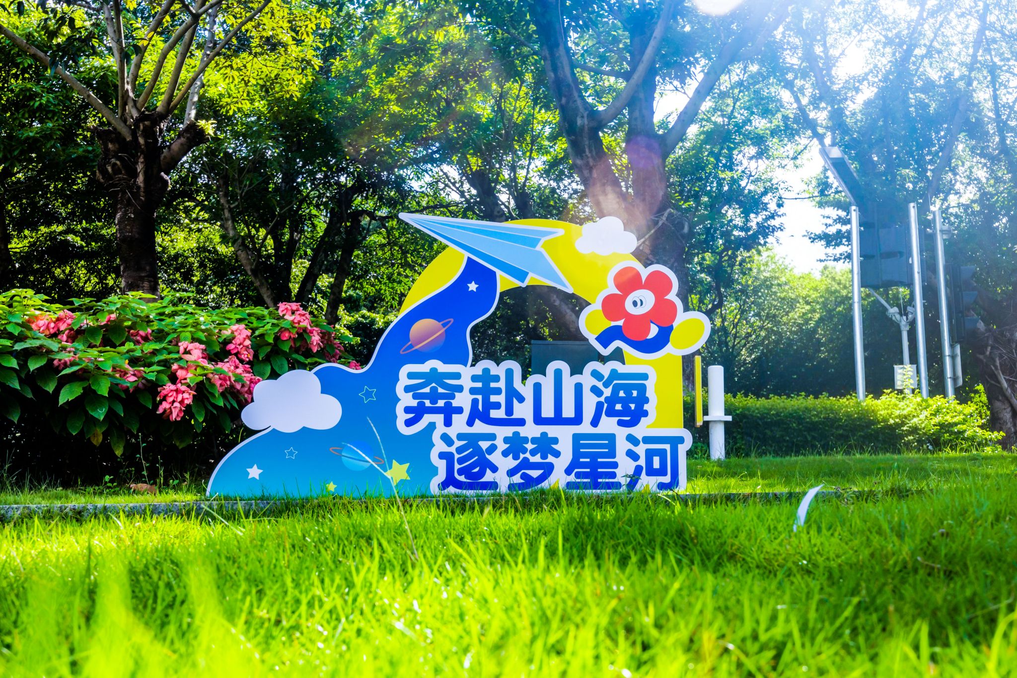 9C5301626B84BBCF96003A96464_A00024AC_AAF3B