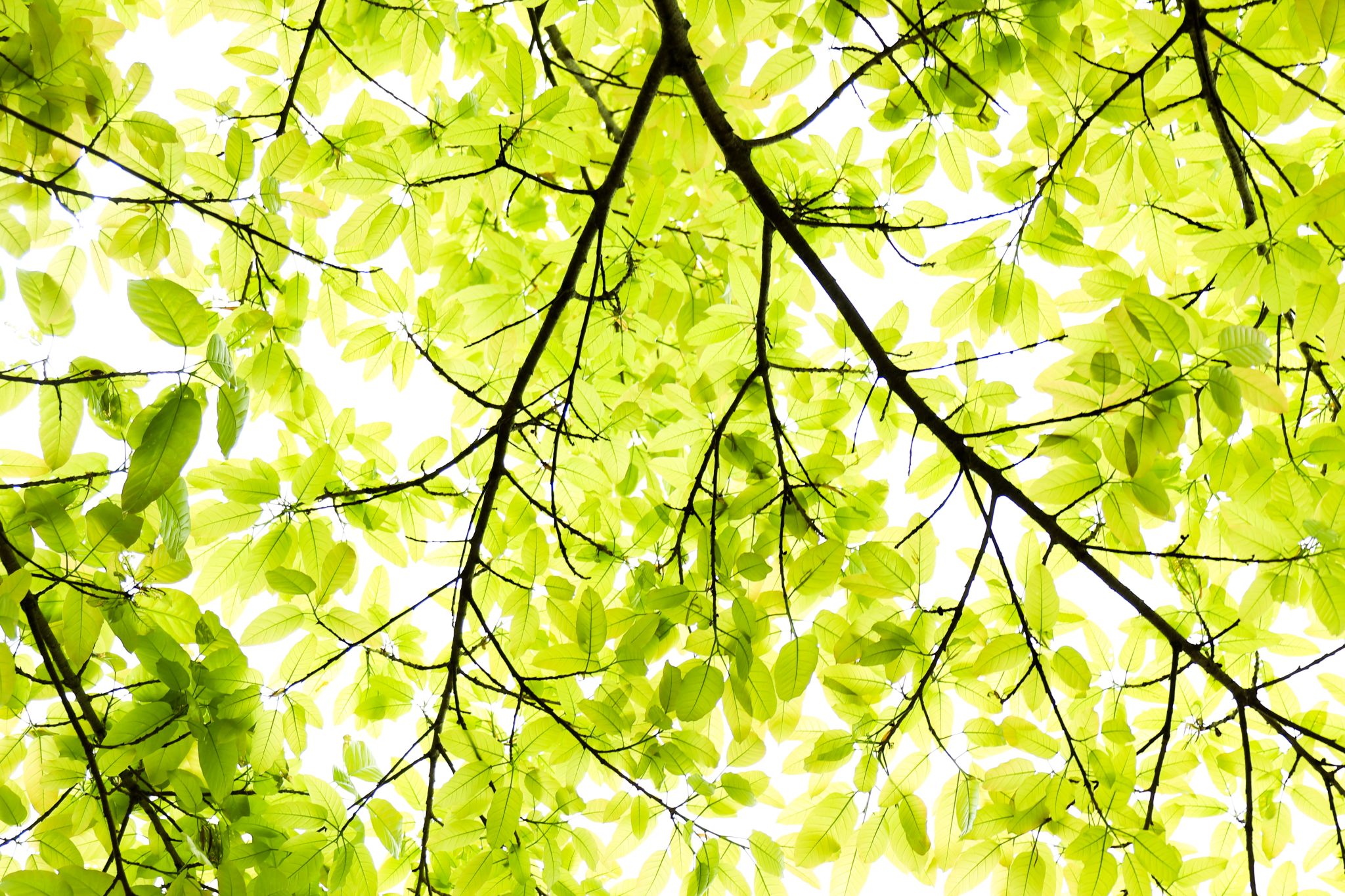 269F999F2C1BCFCFF5281E395F7_73604F79_91AA0