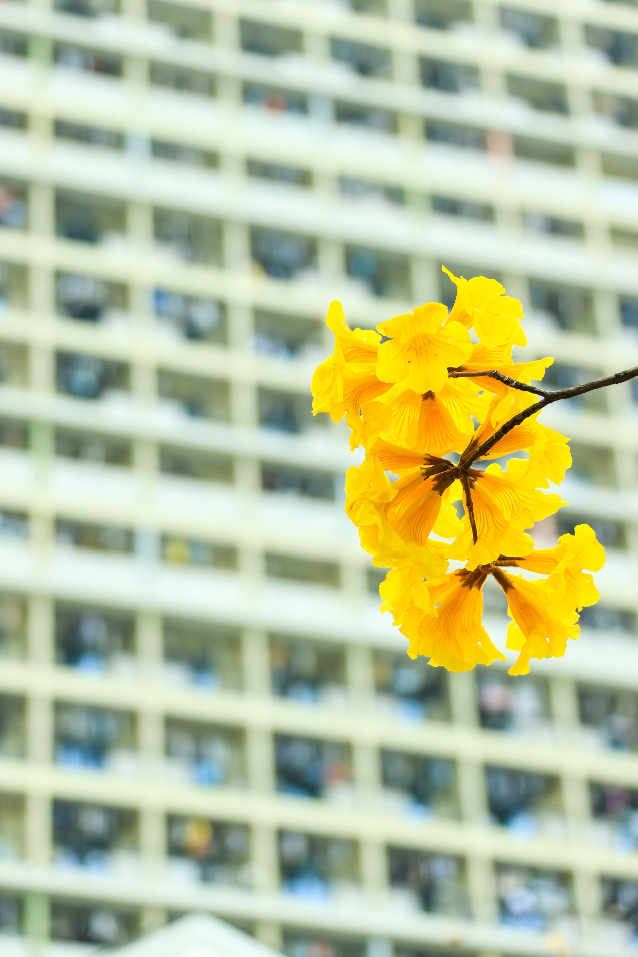 4E493A24FD19B26850C844BF1C0_BE08779F_5E616