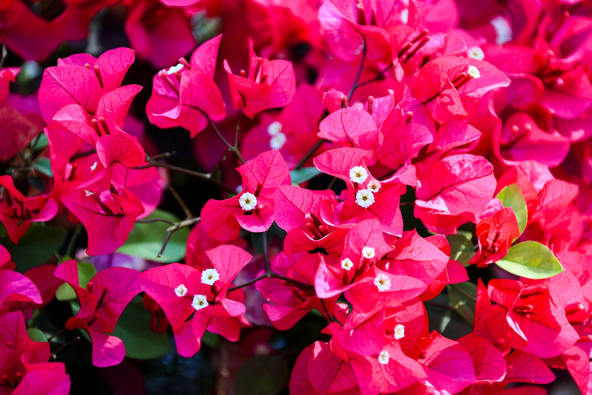 DD8A797DDC895AFD19218436228_342A6C8D_53EC4