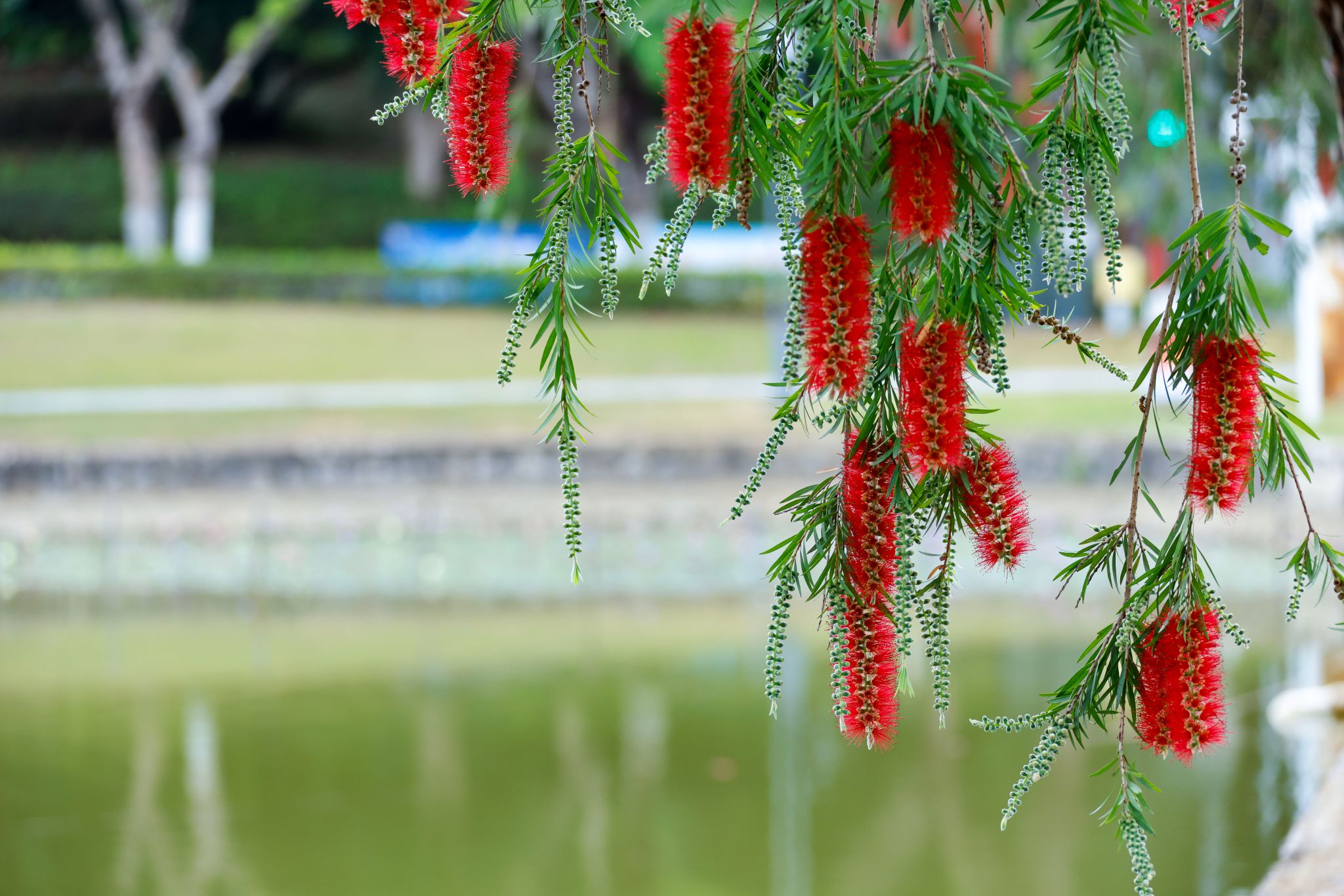 46C88D0CE72E84BA5D542809494_32C66324_5BB76