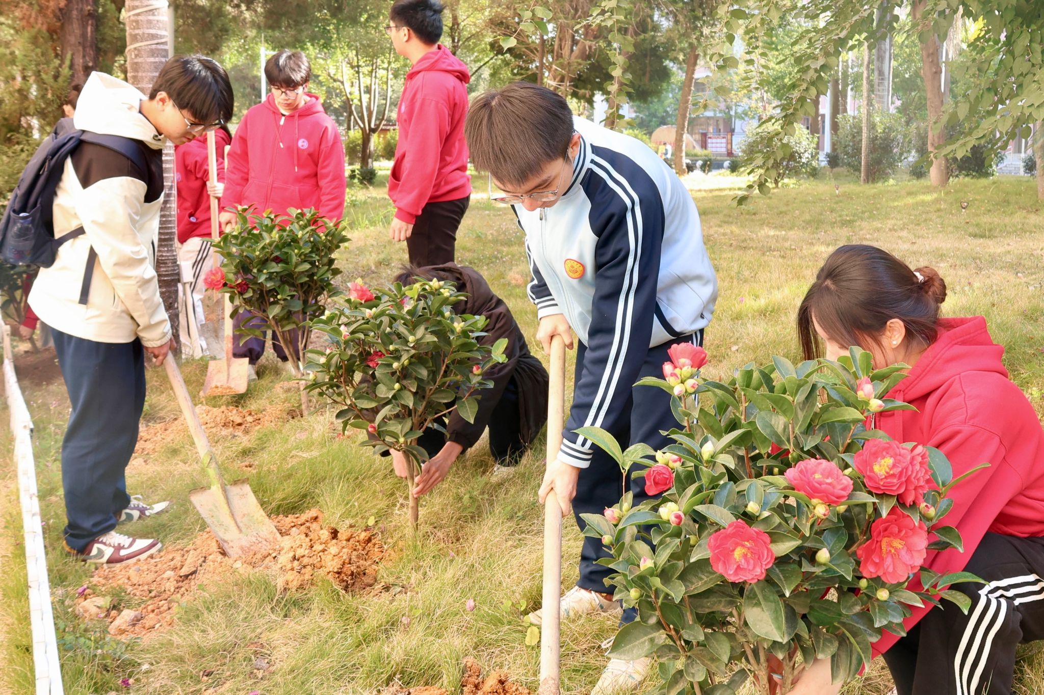 CDCF8C891757F67ED105A82194A_C1D9F6F7_9517A