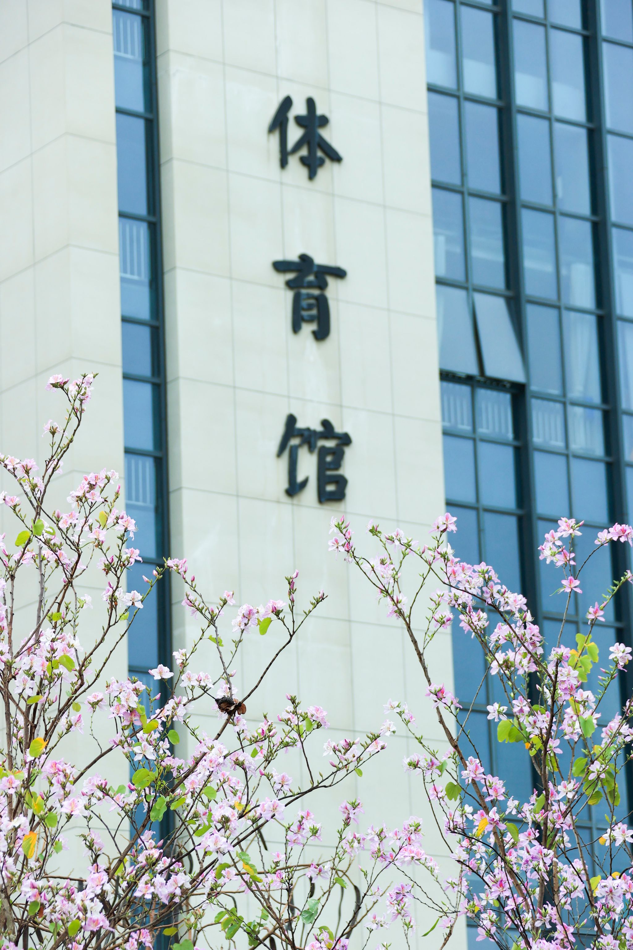 C05843DD6C3024ACD07651AB558_A77D56B8_BF5E0