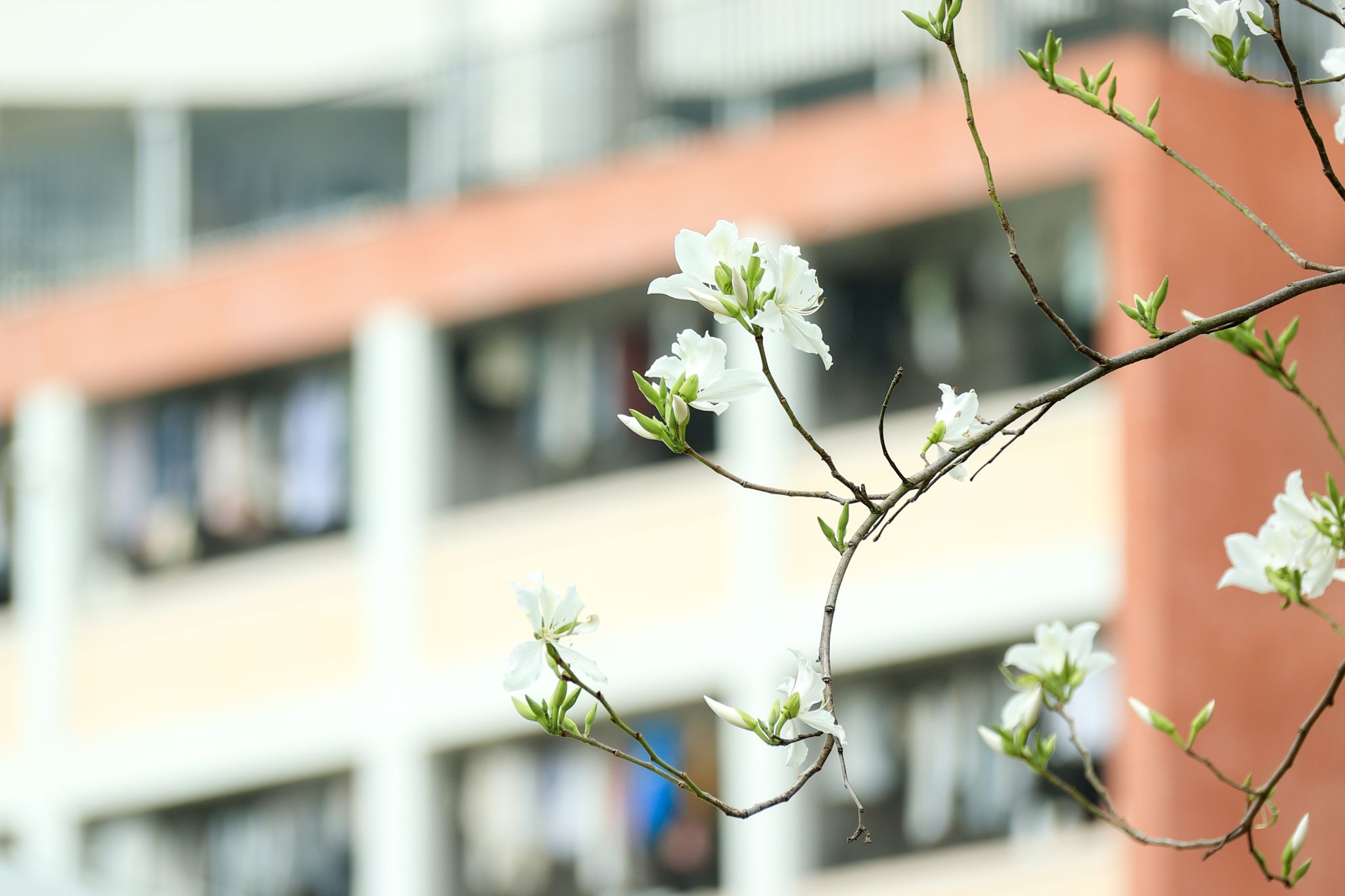 C9B6ACAAD123553280D47EC7B29_7ECC988F_2D504