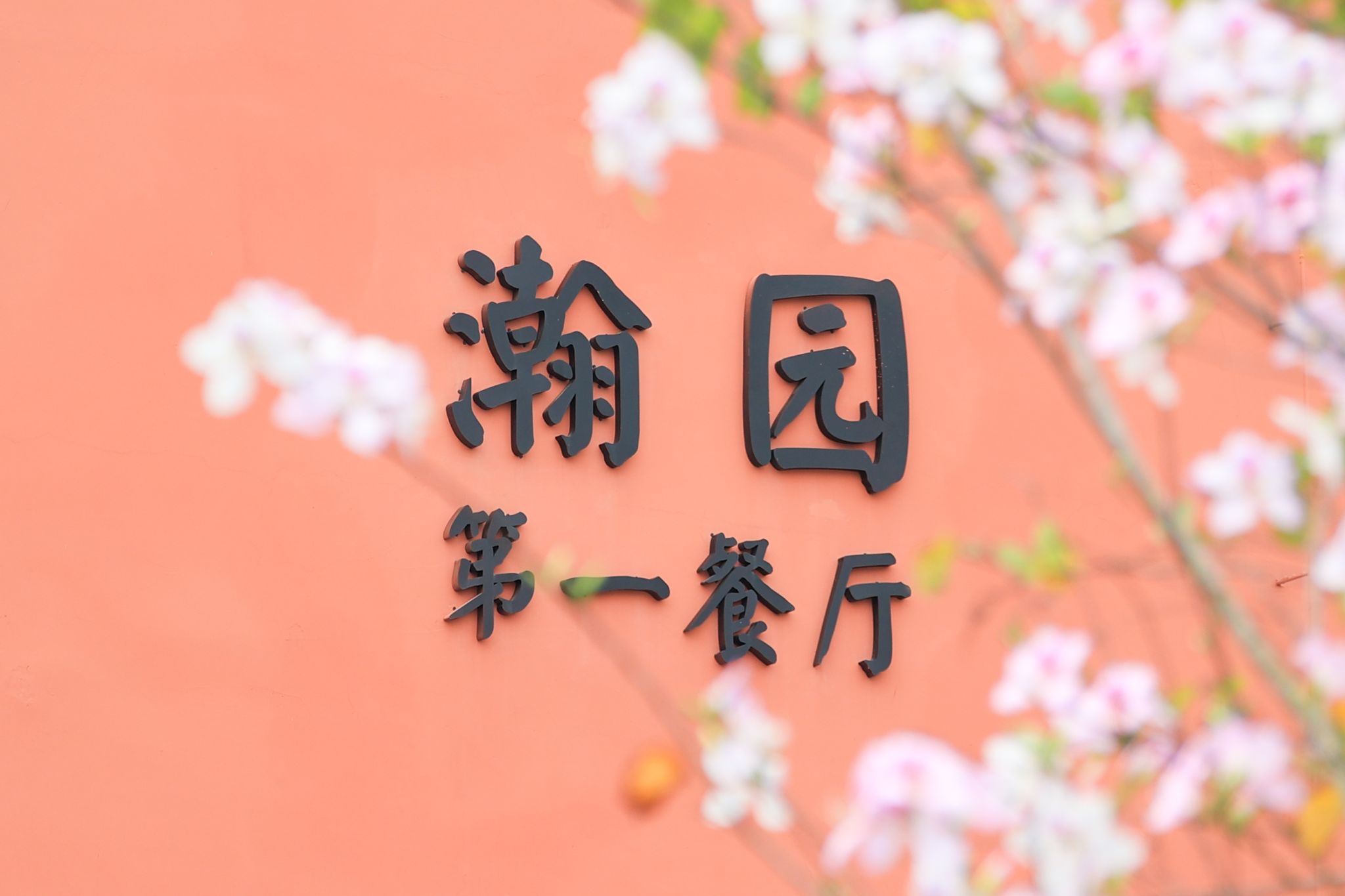 FE48A3E293D30D1DF739F8820F3_965DD7AE_233A7