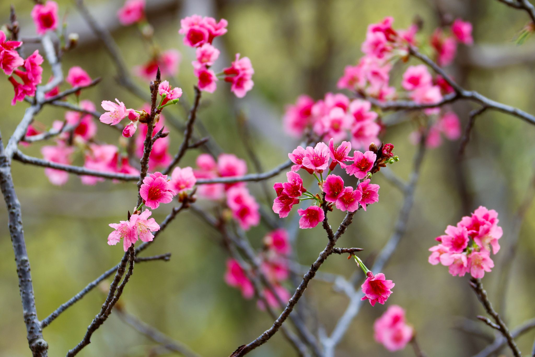 936D05349770A872652924E2B5A_57EFC641_423C6