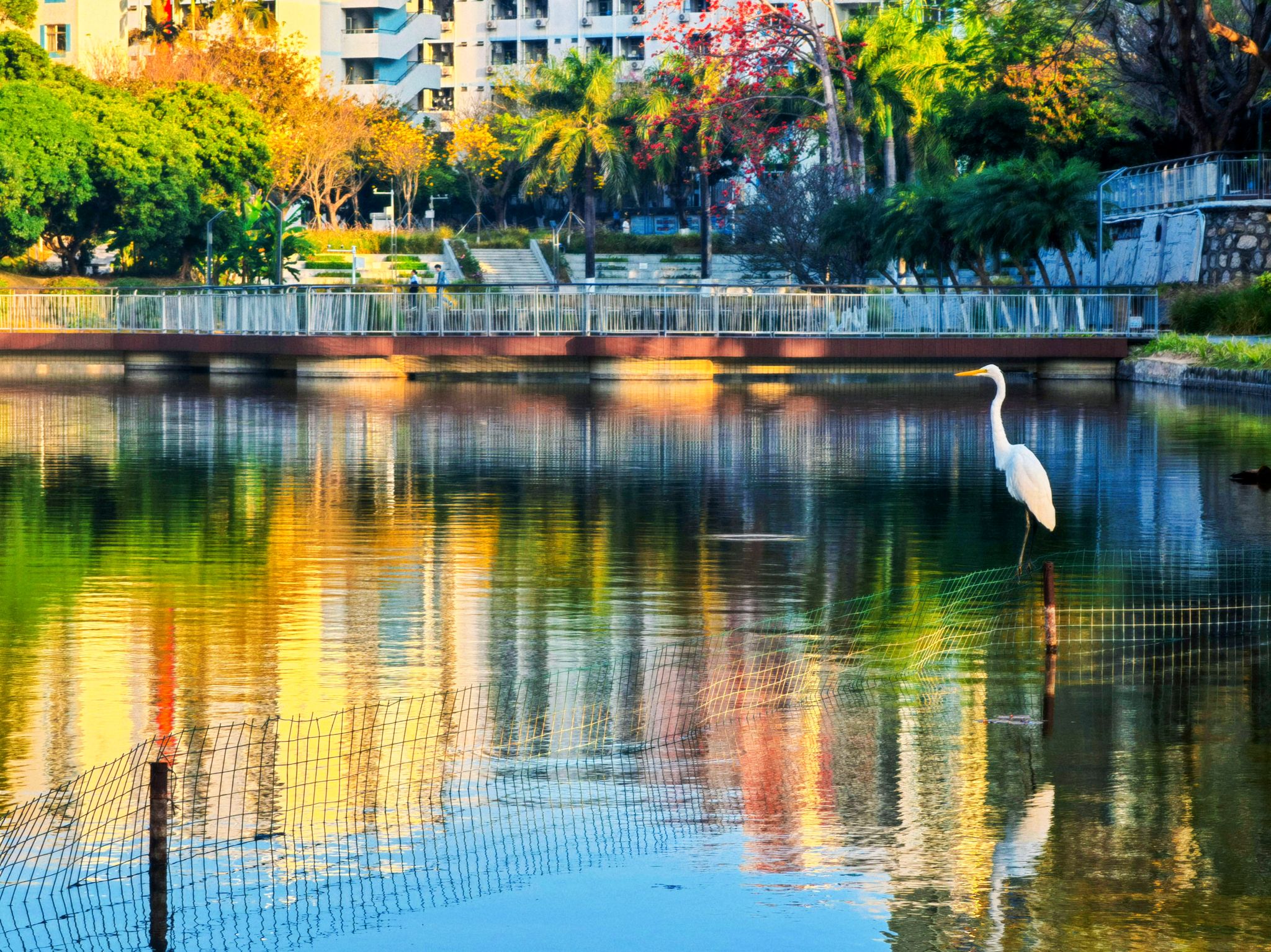 155CDFDF4A166B4525C04D5489B_63EDBCEC_BCA71