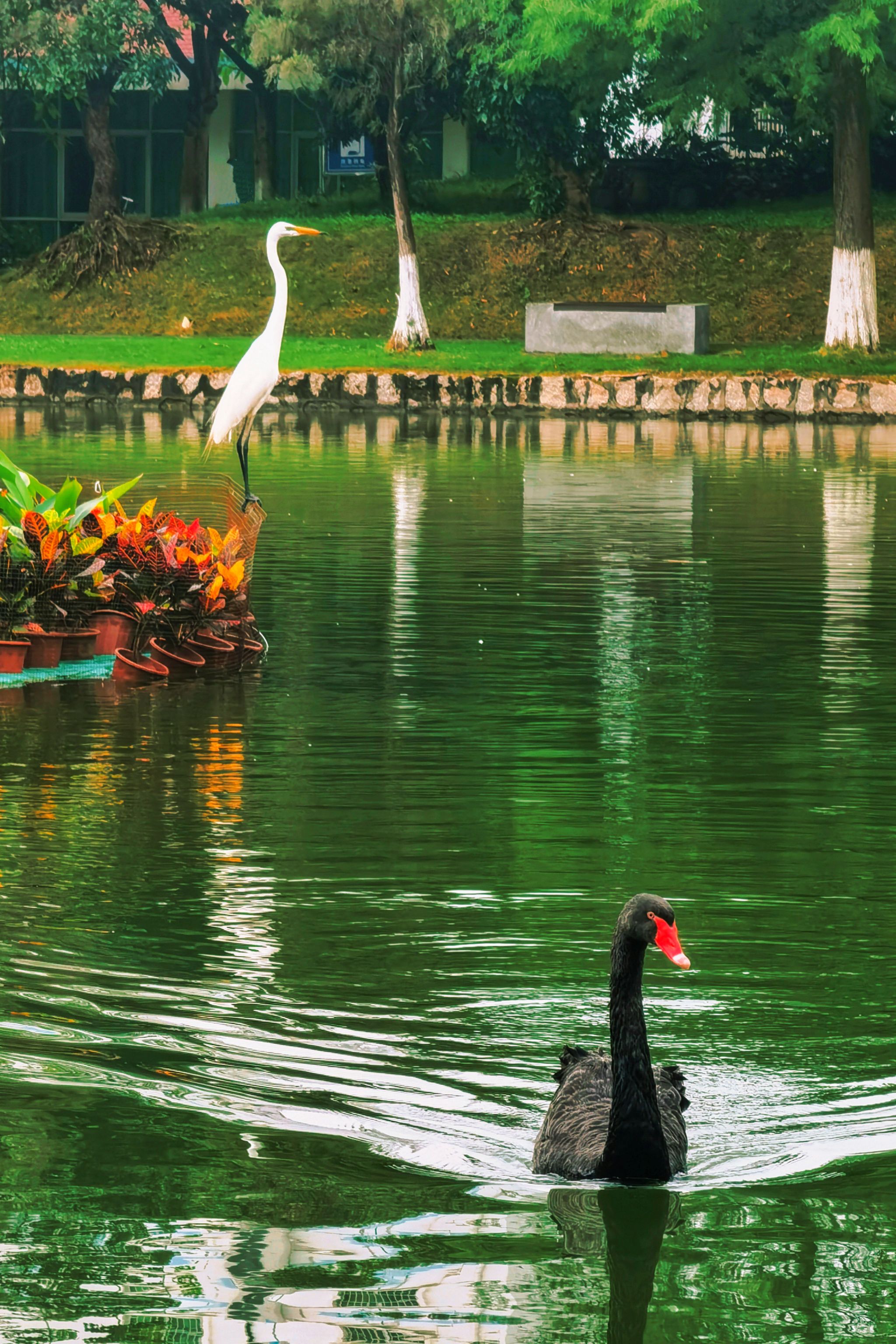 FEE2E0E2898D4785441F8393D24_03550864_EE0C8