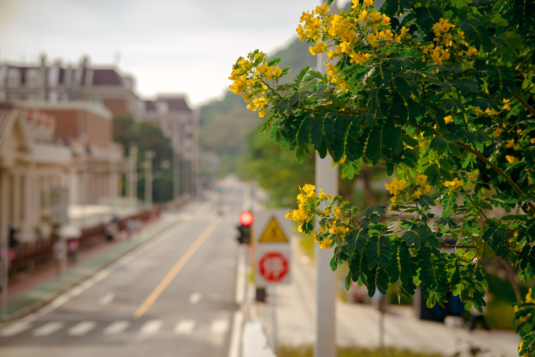 4E1D7679C10FD903821D2B054E7_2994235E_4B778