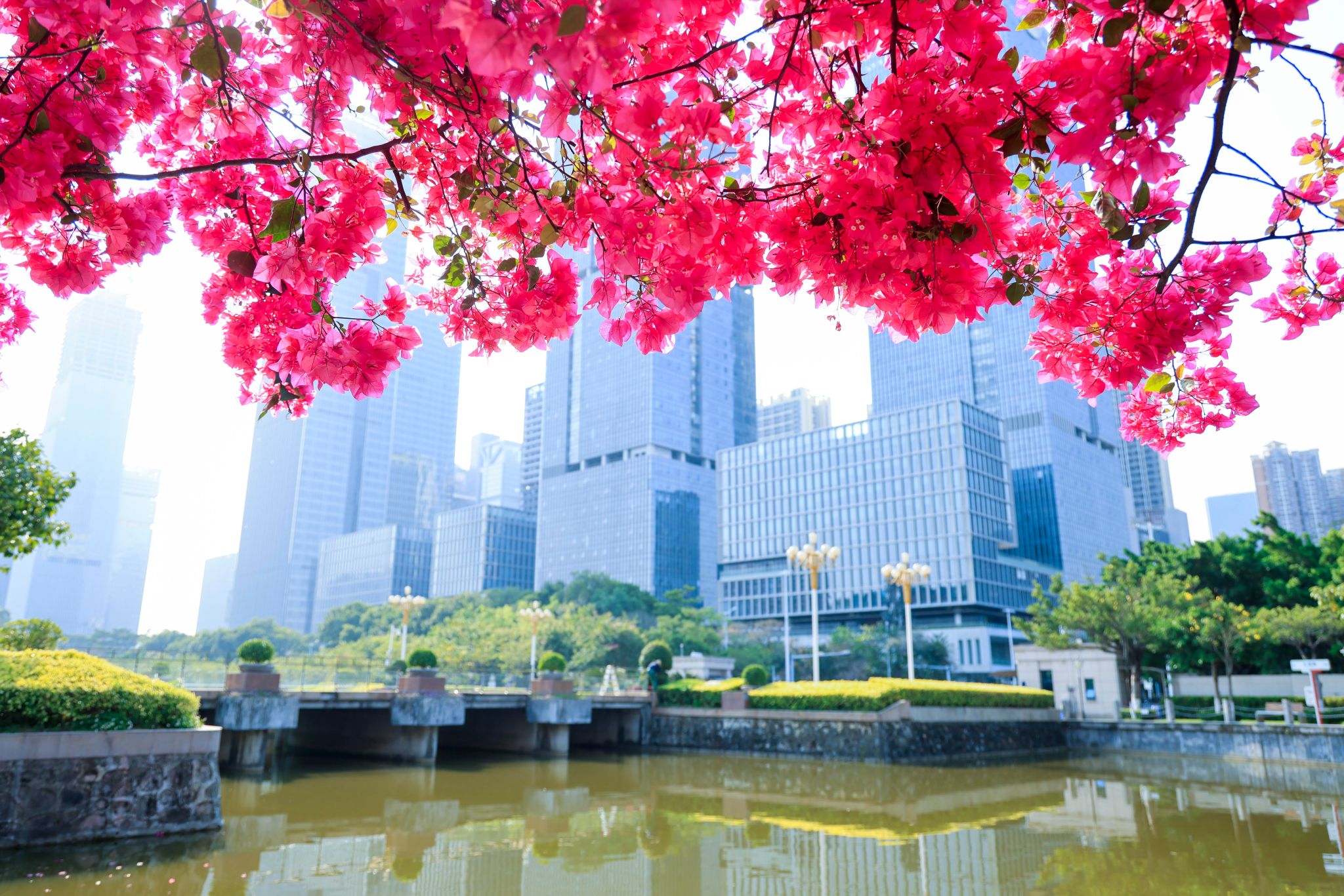 FBC4879C1BB58BDD175F13F78CB_E50913C6_833B2