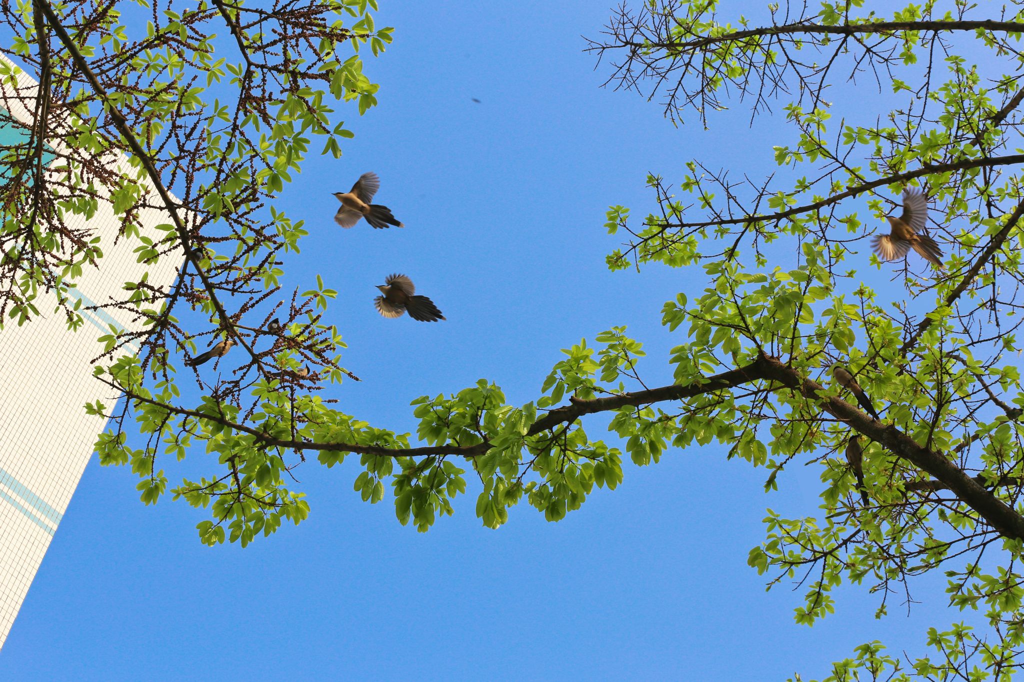 DC3D576A46095A547F21C13B20E_E56A1C75_9A6AC