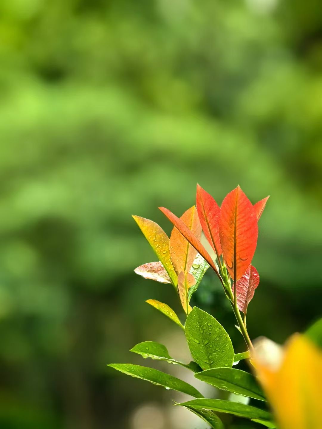 F96DF3A9B1A362231F754BBE0CF_7EDC775C_19EB8