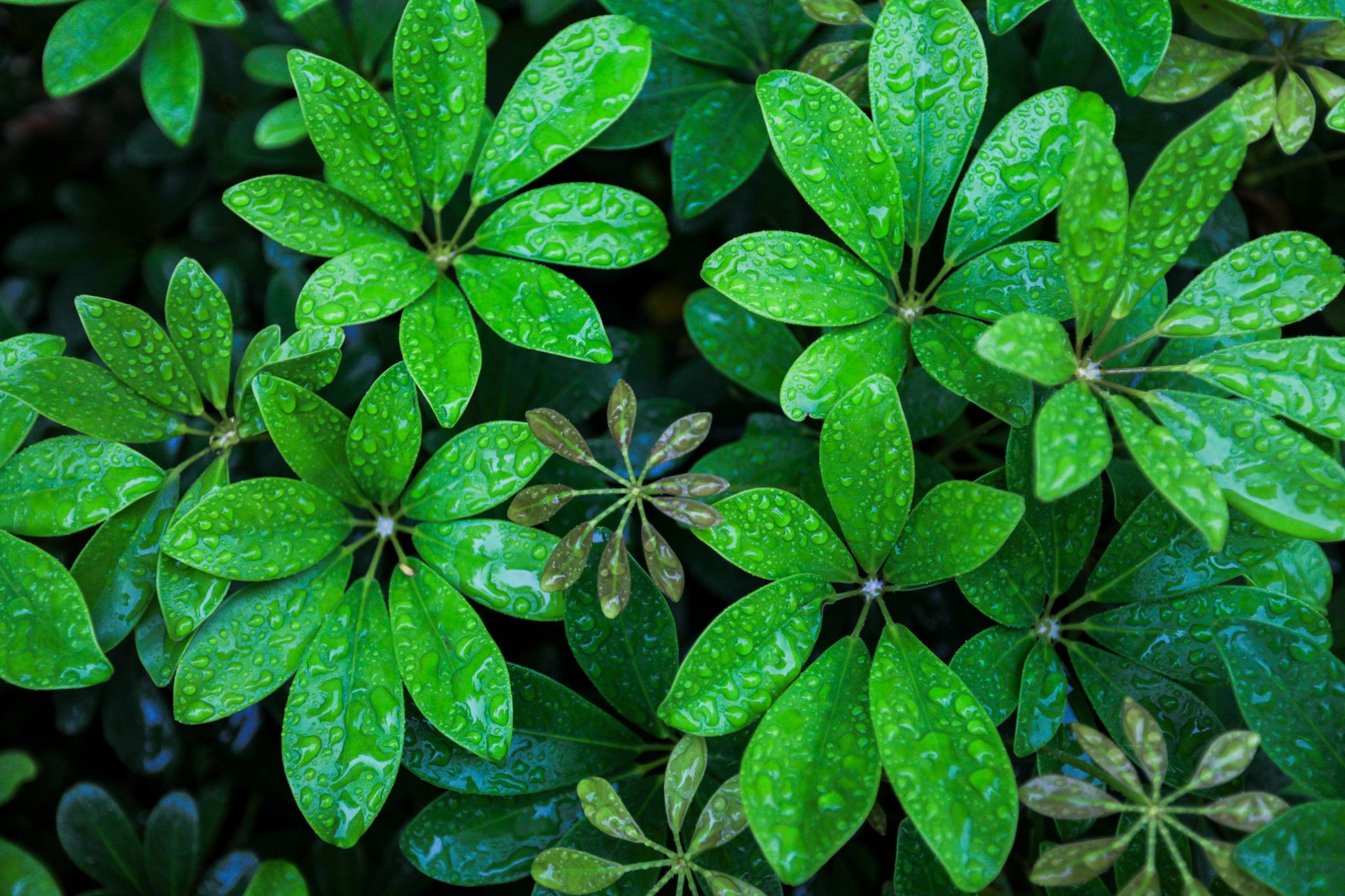 4197BE92454E38B8C479728741E_3B5C3400_71C75