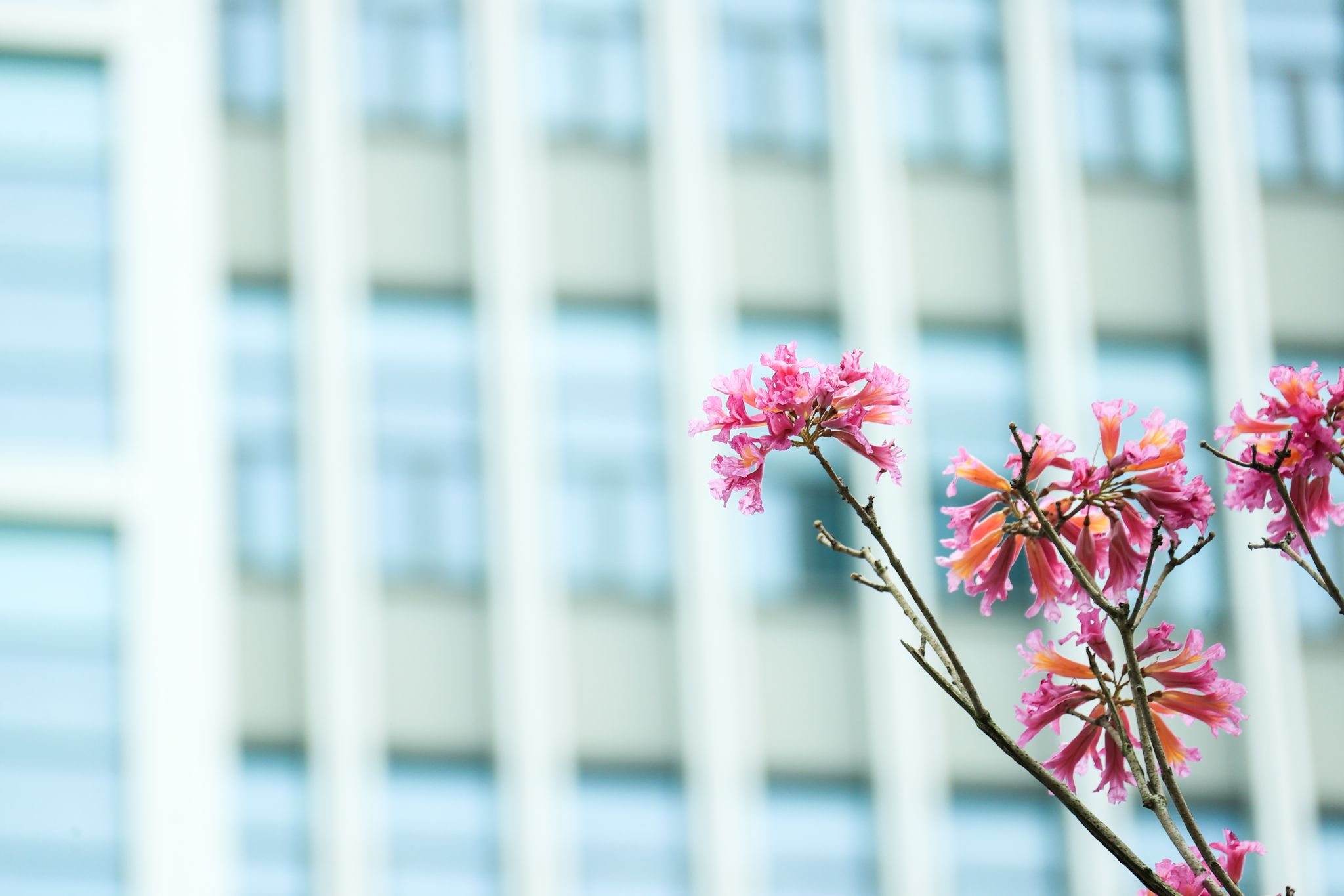 4B790C3CCF0A783B96F7D830989_AEC5AD08_2E06A