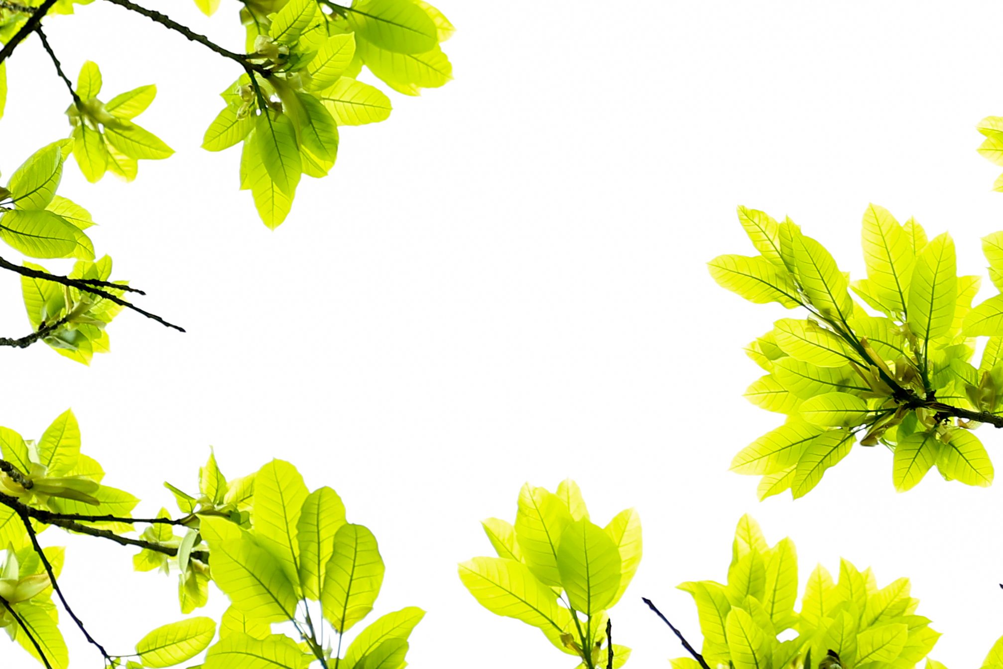 F1C5705BF27153BEDBF082E49CE_416D41D1_33D80