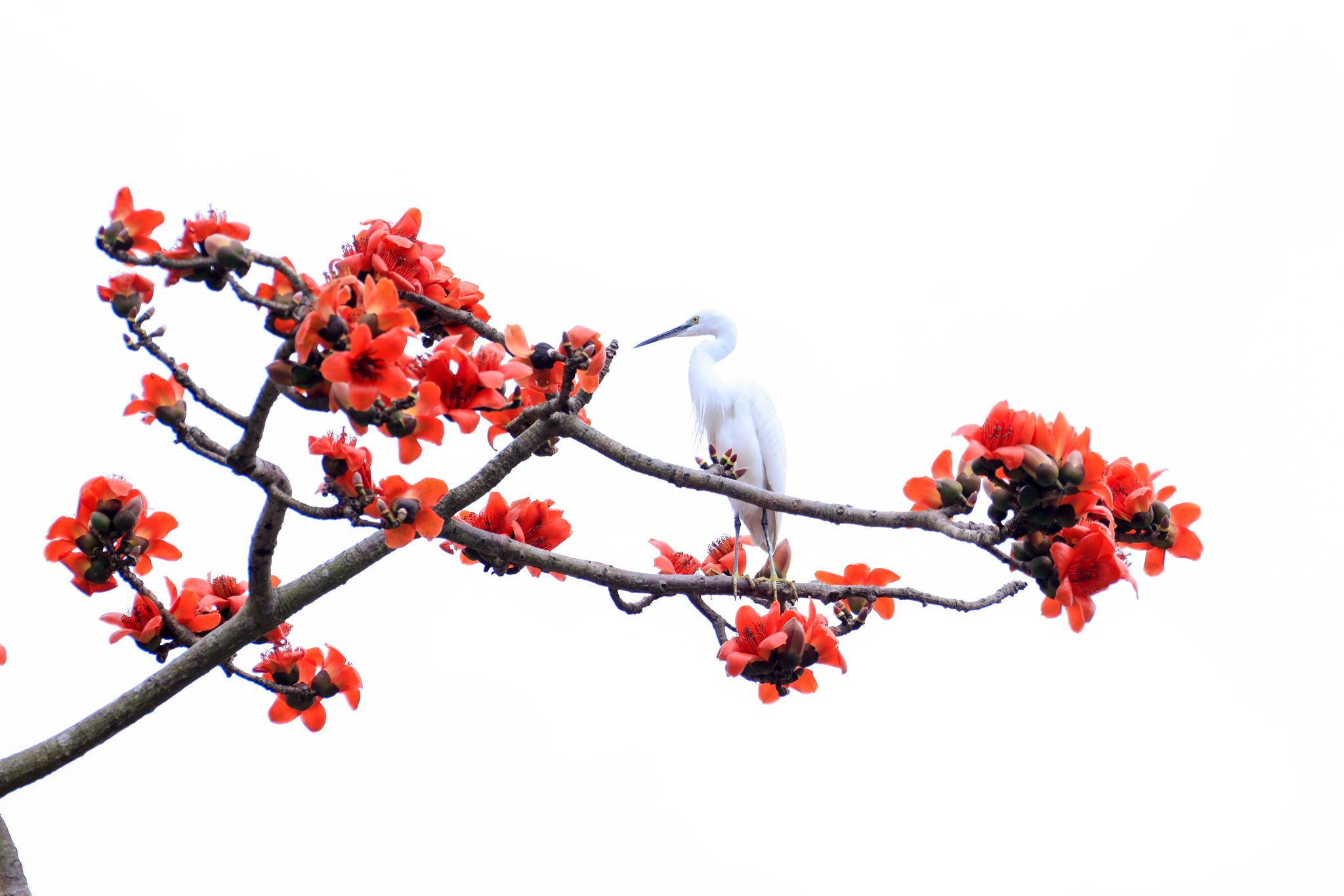 F82D93DB1FC45ABF432FA26A528_6A5B05F5_2DCE9